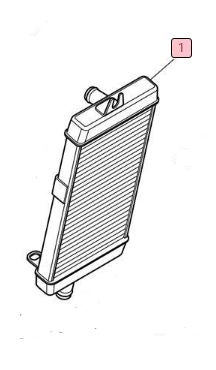 Genuine Triumph Radiator T2101333